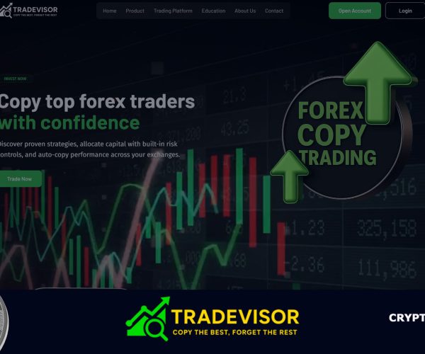 Обзор брокера TradeVisor