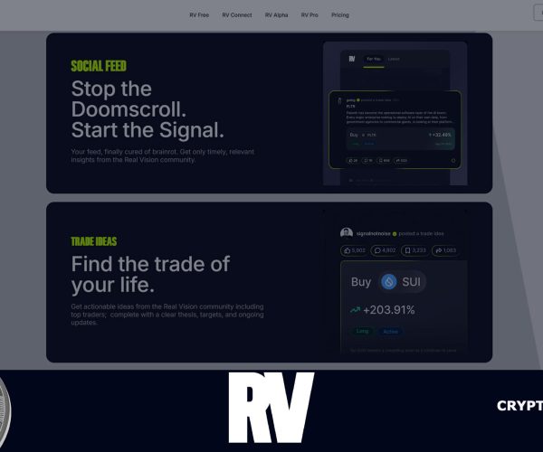 Обзор Real Vision