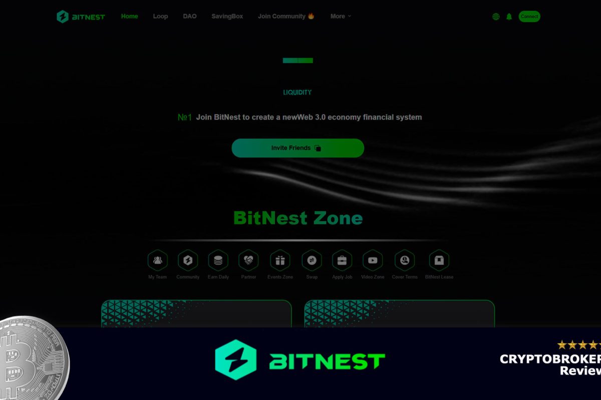 Обзор проекта BitNest